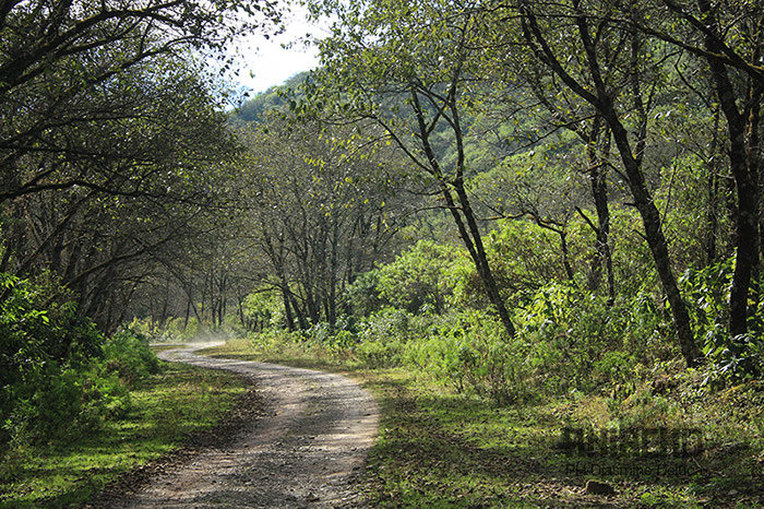 Lagunas de Yala